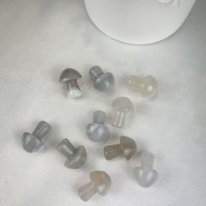 Mini Agate Mushrooms - Intuitively Picked