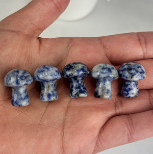 Sodalite Mini Mushroom Carving - Intuitively Chosen