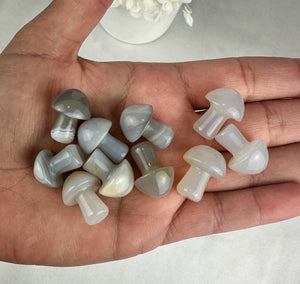 Mini Agate Mushrooms - Intuitively Picked