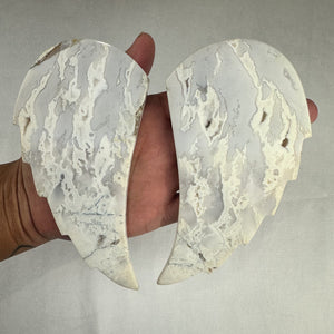 White Agate Druzy Wings on Stand | Statement Piece