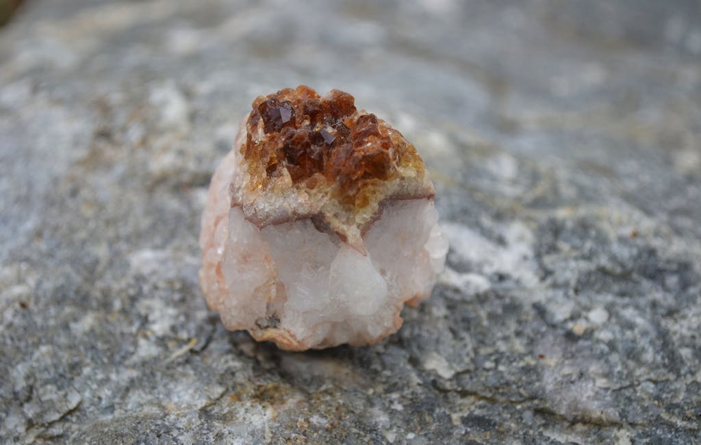 A Tool for Health, Wellness, and Growth