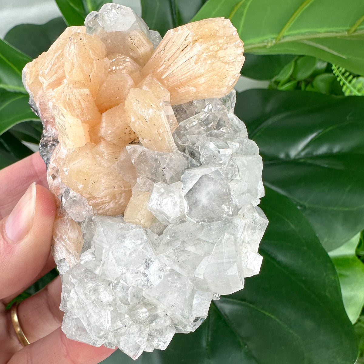Apophyllite Cluster No.3 – Rainbow Light & Peaceful Vibes (210g)