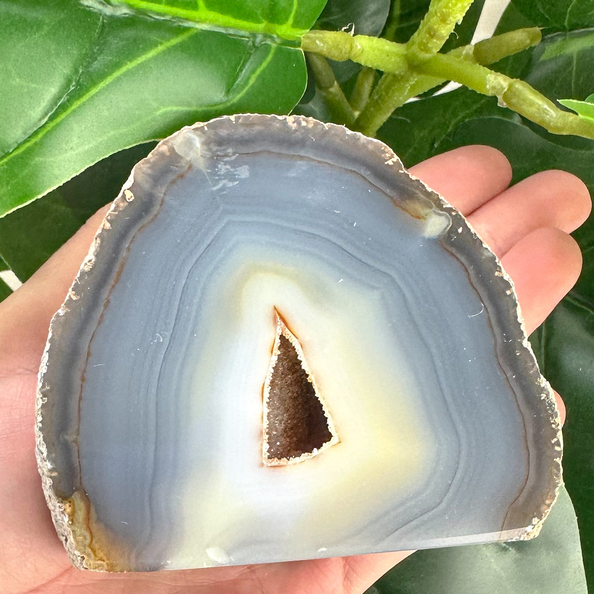 Agate Base Cut Geode | Grounding, Balance & Druzy Crystal Beauty