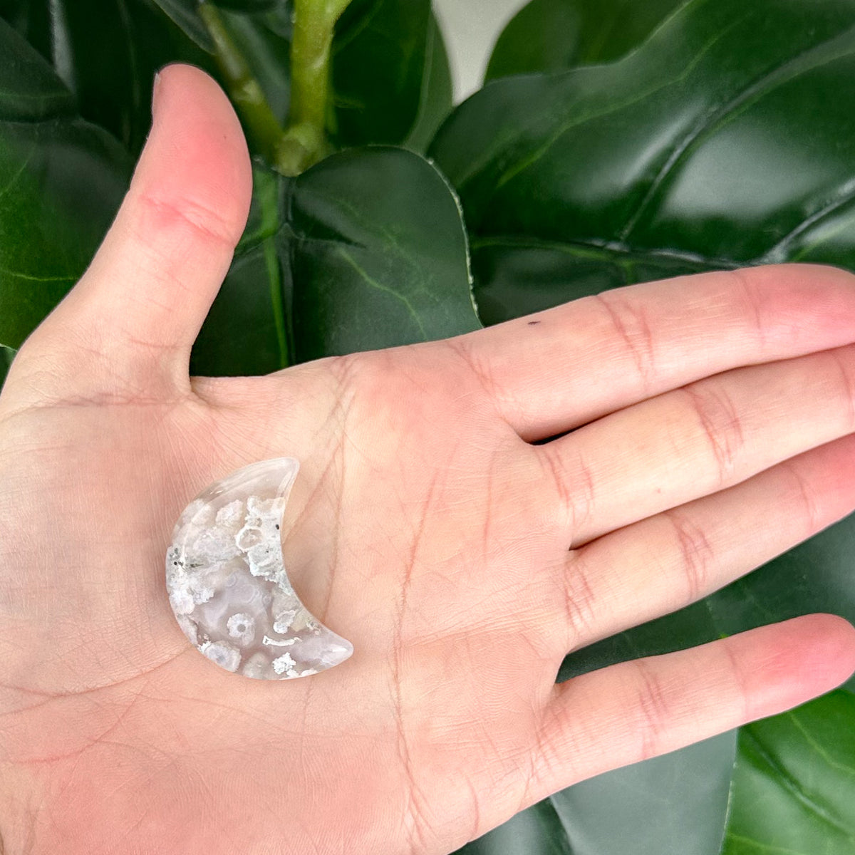 Flower Agate Moon Crystal #2 | Growth & New Beginnings Crystal