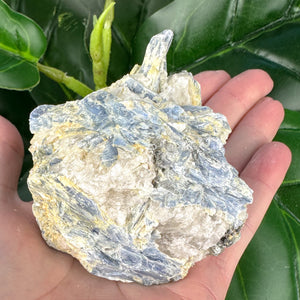 Raw Blue Kyanite Matrix Crystal | Calm & Communication