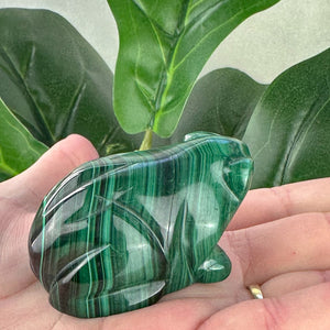 Malachite Frog Carving | Prosperity, Protection & Transformation
