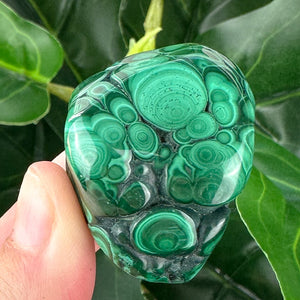 Small Malachite Crystal | Protection, Transformation & Healing