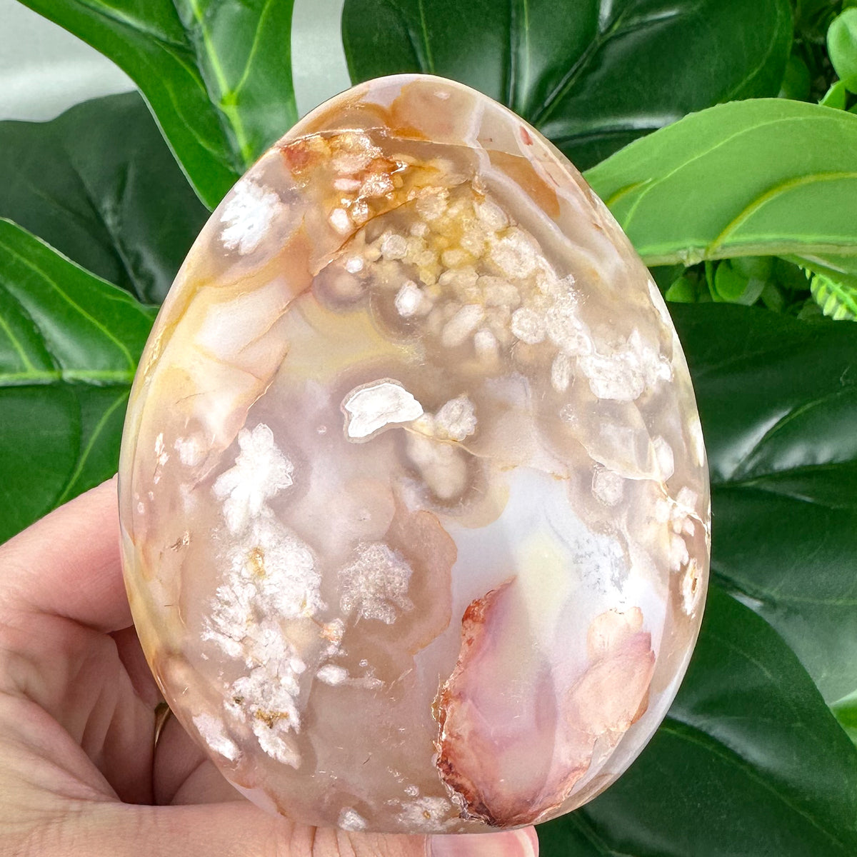 Large Polished Flower Agate Freeform with Druzy Pockets – 413g | Radiant Nurturing Energy from Madagascar