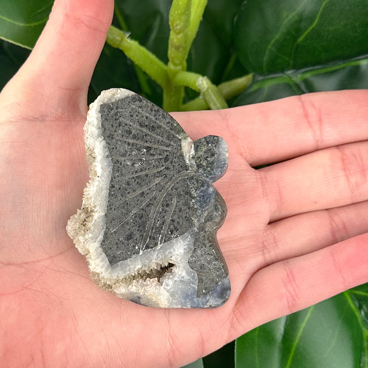Hand Carved Fairy with Quartz Druzy Wings | Spiritual Crystal Decor (54g)