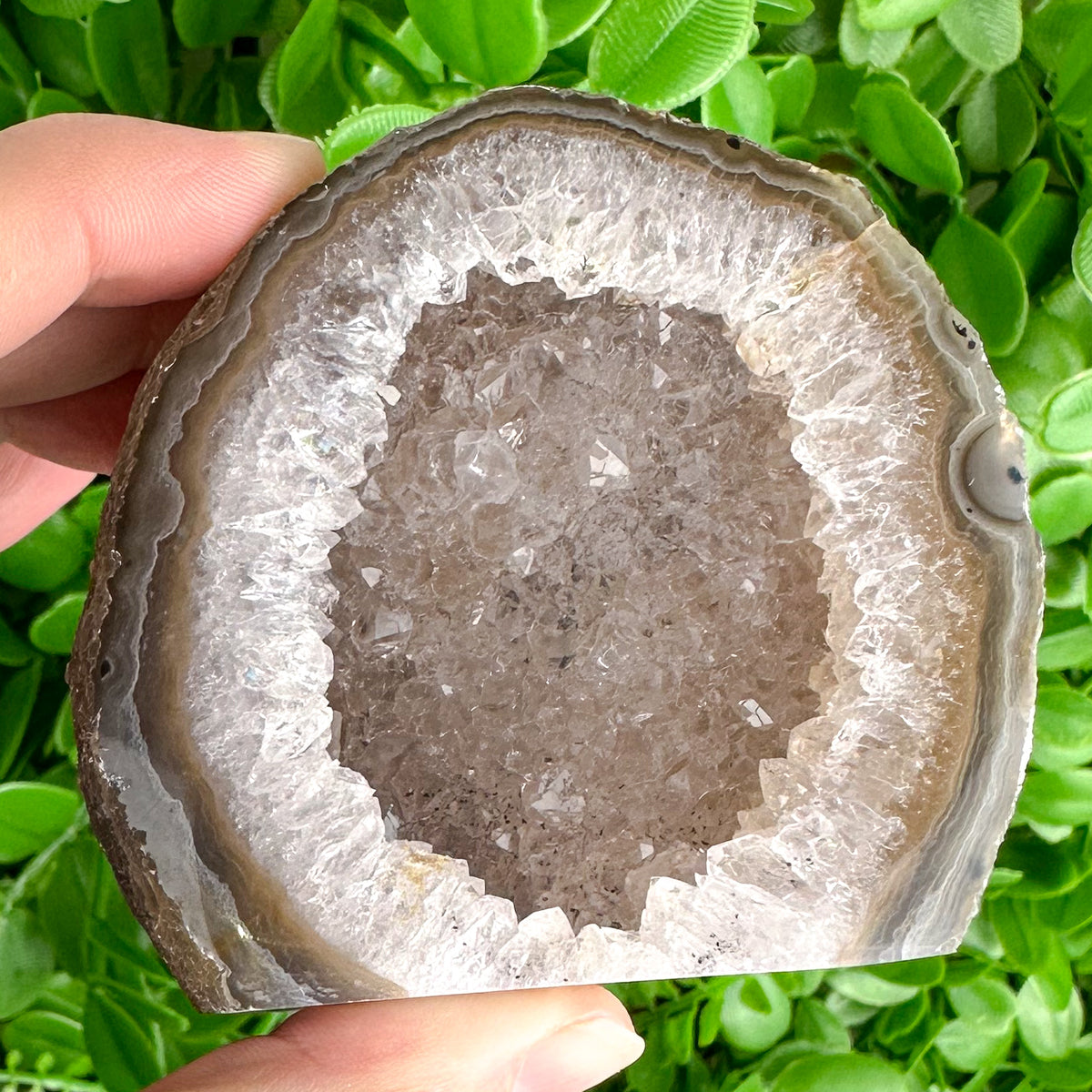 Polished Druzy Agate Slice – Inner Strength & Stability