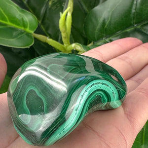 Premium Malachite Polished Crystal | Protection & Transformation