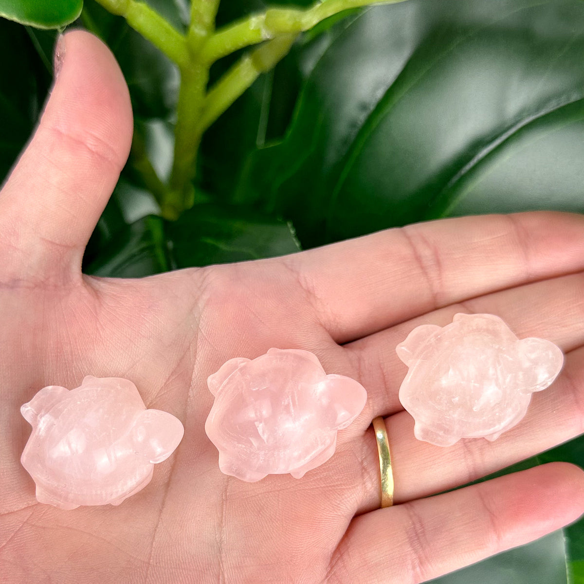 Rose Quartz Mini Turtle Carving