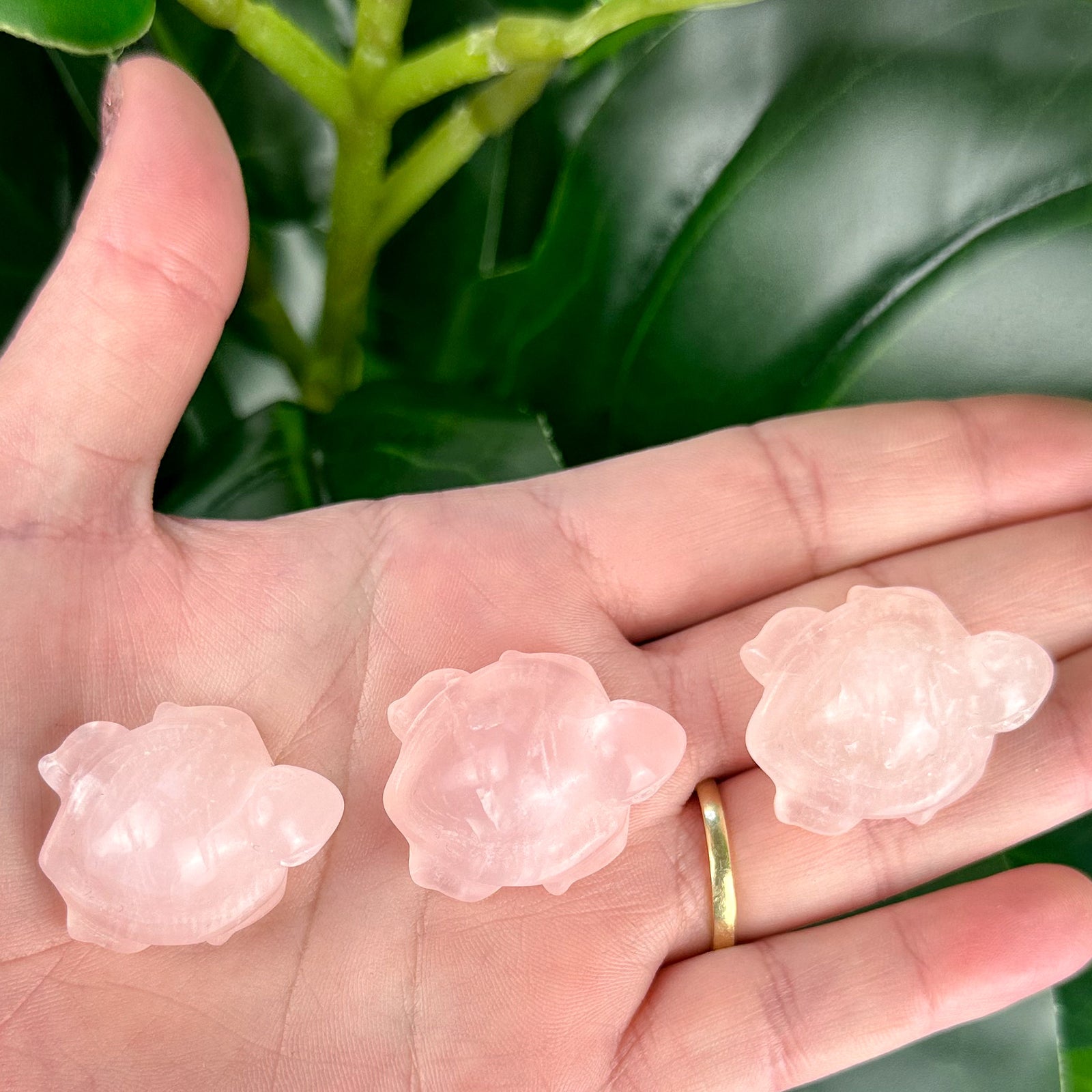 Rose Quartz Mini Turtle Carving