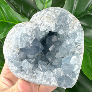Celestite Heart Crystal | Peace, Angel Energy & Calming Energy