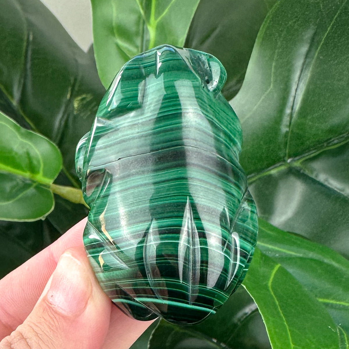 Malachite Frog Carving | Prosperity, Protection & Transformation