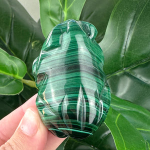 Malachite Frog Carving | Prosperity, Protection & Transformation