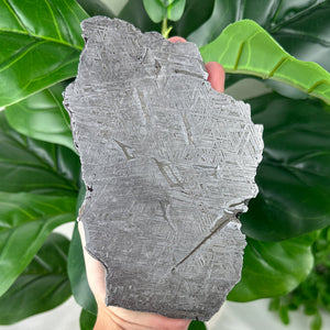 Muonionalusta Meteorite Slice 482g | Iron Meteorite Specimen