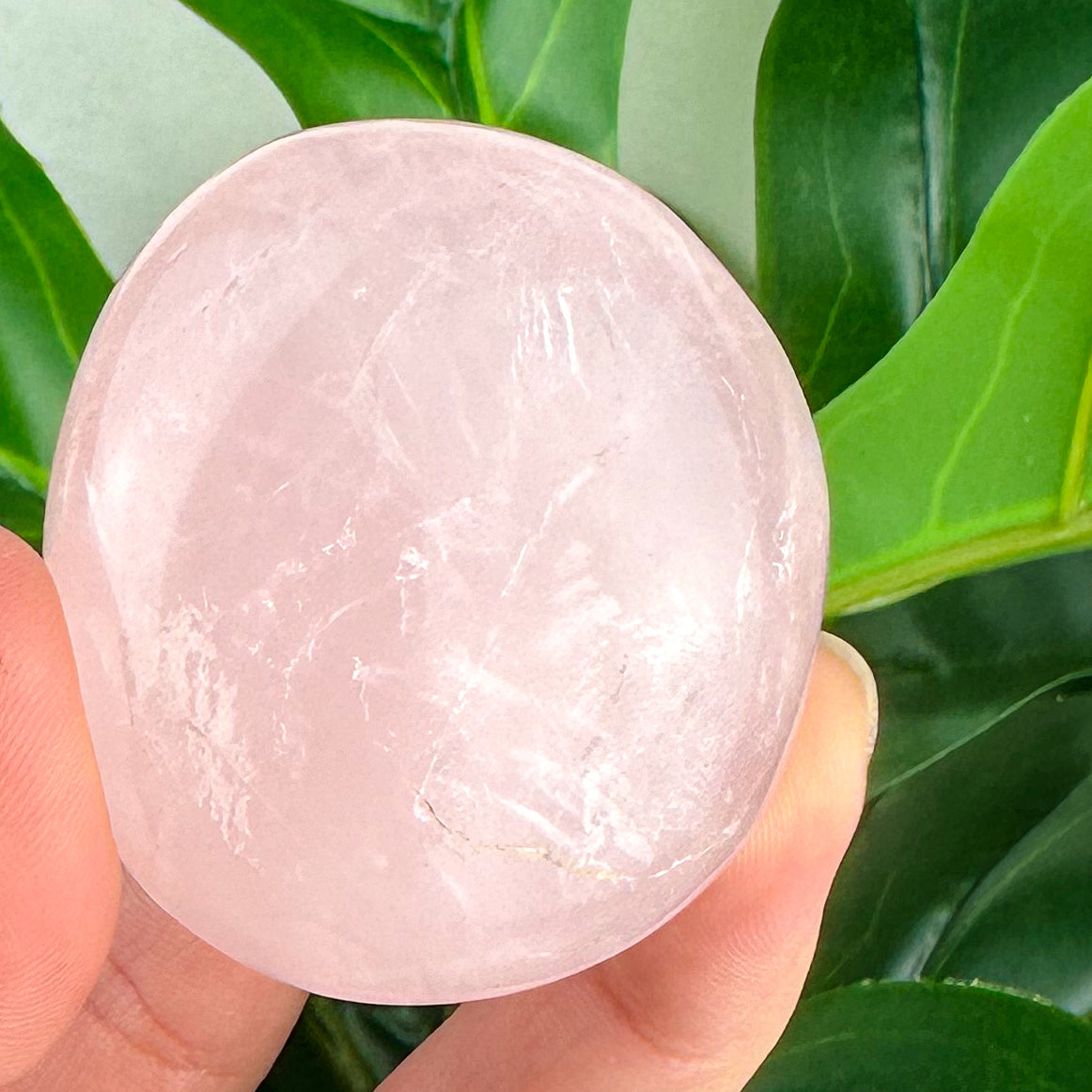 Rose Quartz Palm Stone And Tumbles- Choose Your Own!