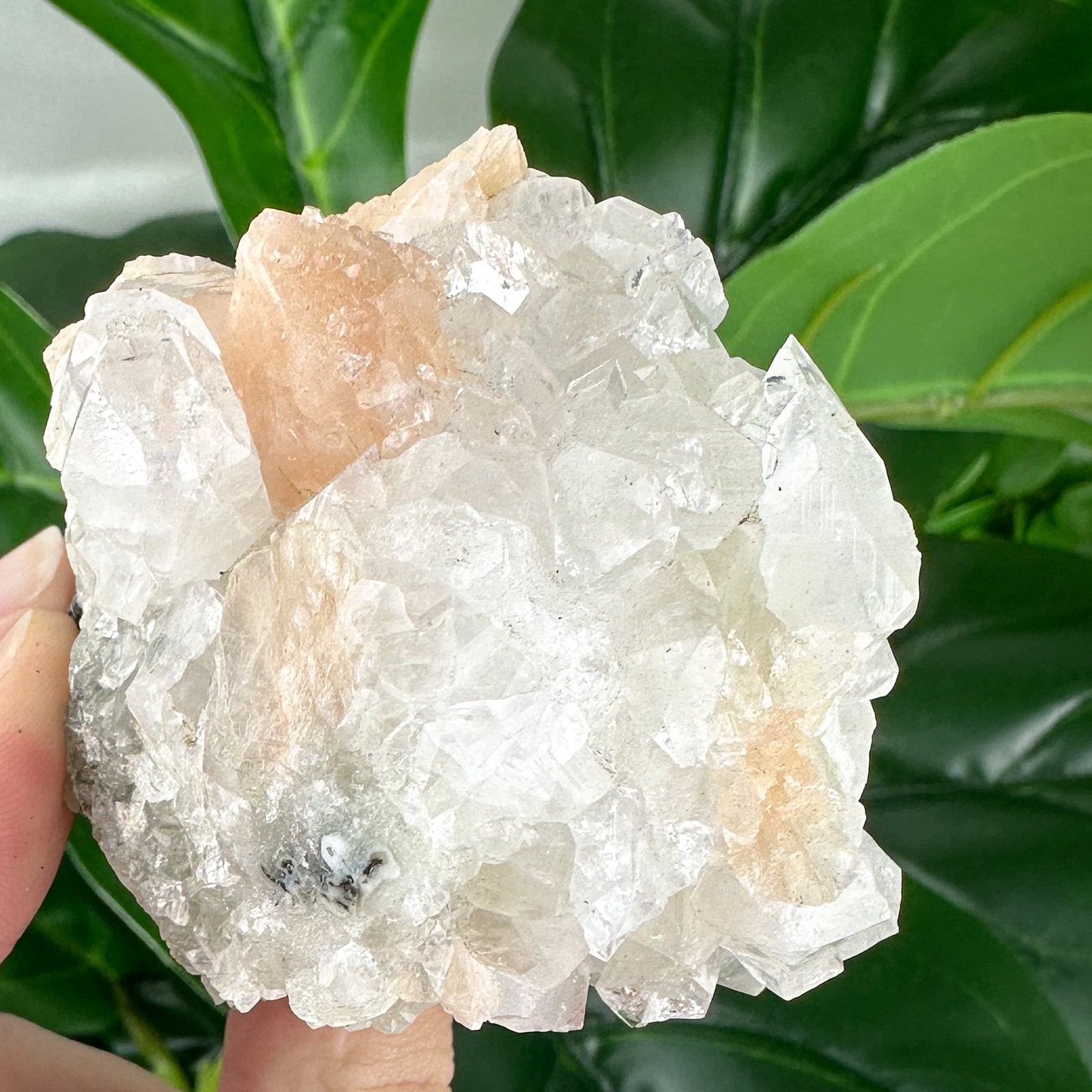 Apophyllite Cluster No.4 – Delicate Points & Soft Tones (180g)