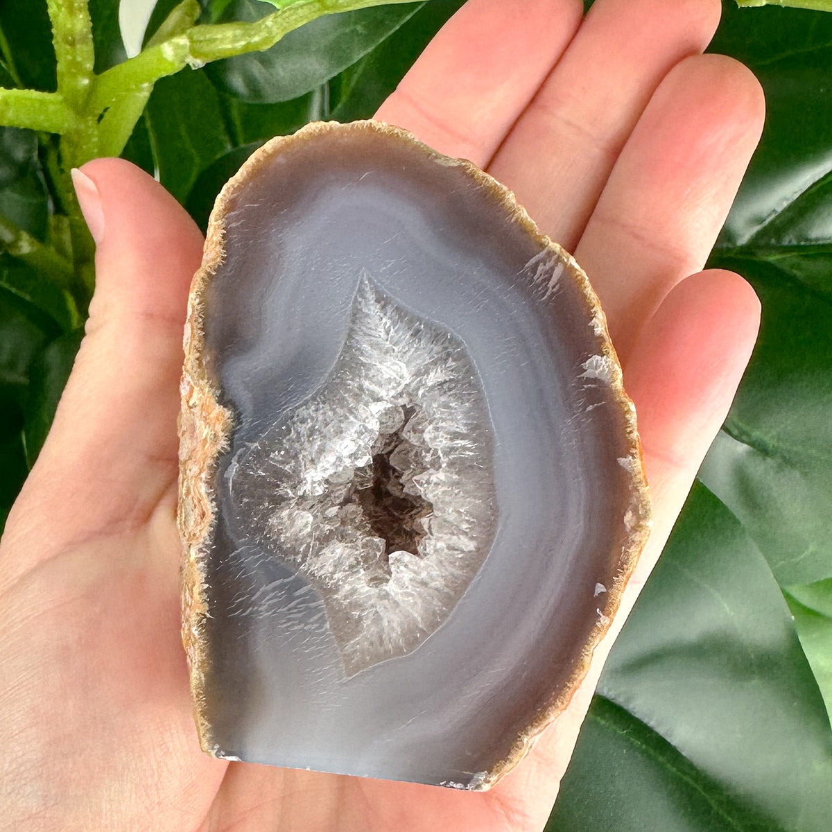 Agate Slice with Deep Druzy Pocket | Triangular Cavern-Like Center | Freestanding Raw