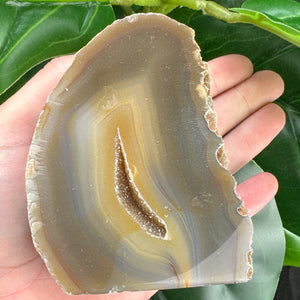 Natural Agate Crystal Geode | Grounding, Harmony & Calm