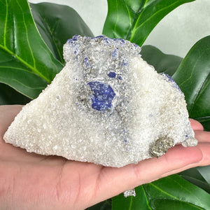 Lazurite Specimen | Intuition, Wisdom & Spiritual Awareness