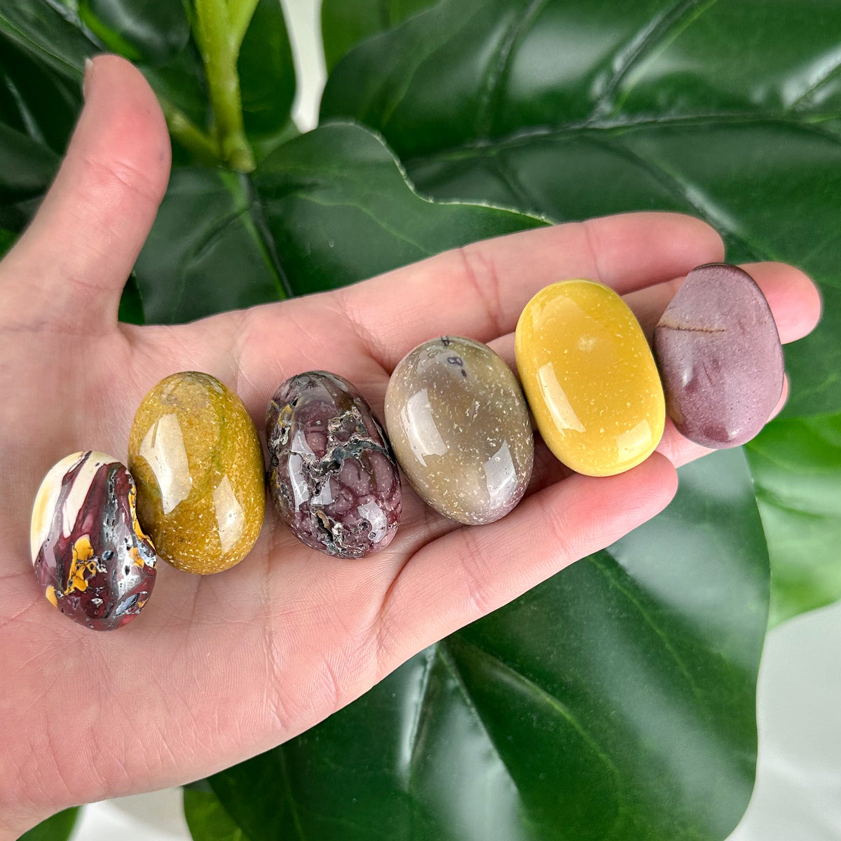 Mookaite Jasper Tumble | Strength & Grounding | Confidence