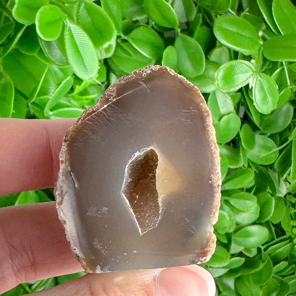 Mini Chocolate Agate Slice with Tiny Druzy Pocket | Raw Polished Crystal