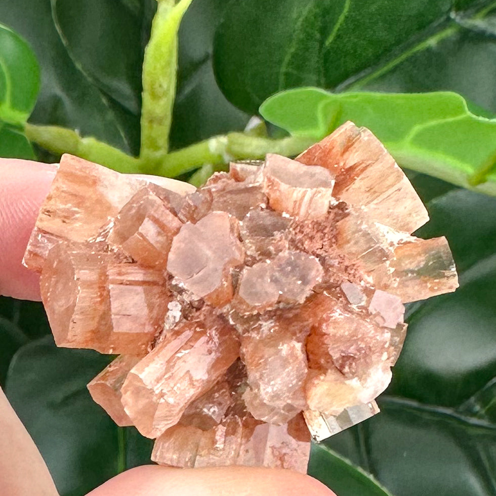 Natural Aragonite Sputnik | Grounding Crystal & Calming Energy