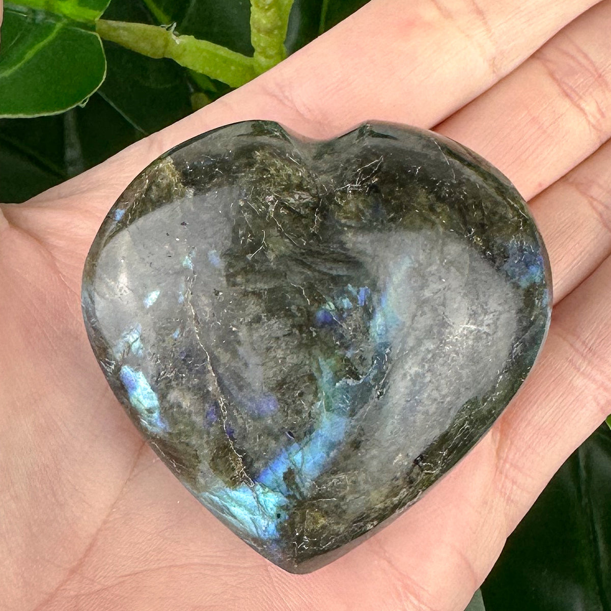 Labradorite Heart Crystal | Protection, Intuition & Transformation