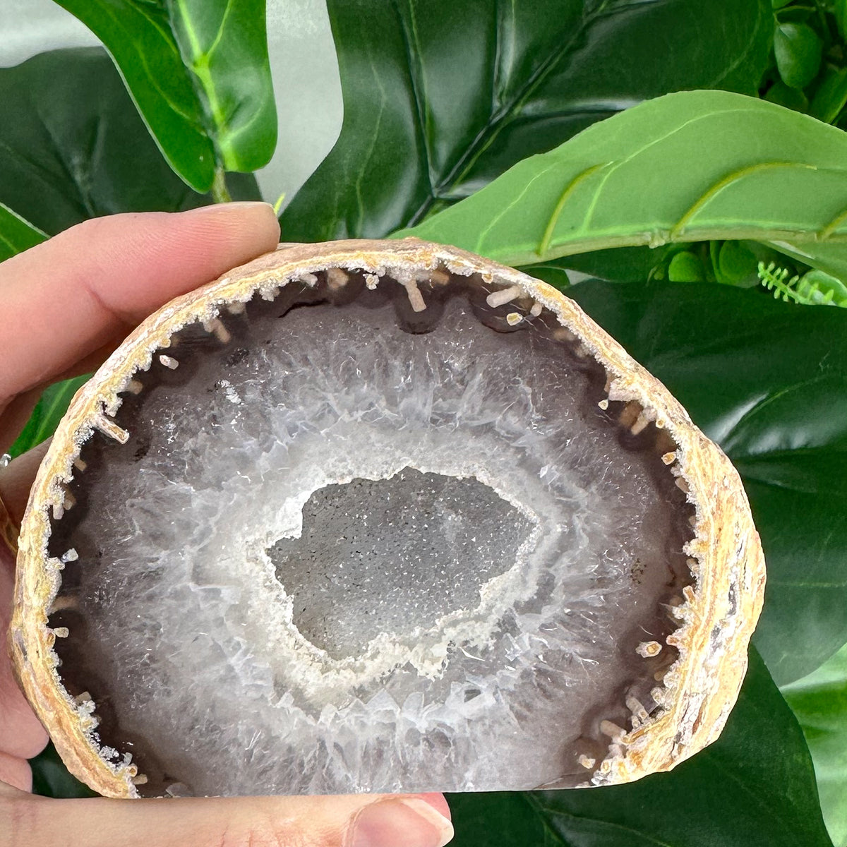 Smoky Agate Geode Slice with Sparkling Centre