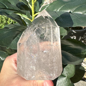 Clear Quartz Generator Crystal | Manifestation, Clarity & Cleansing Energy