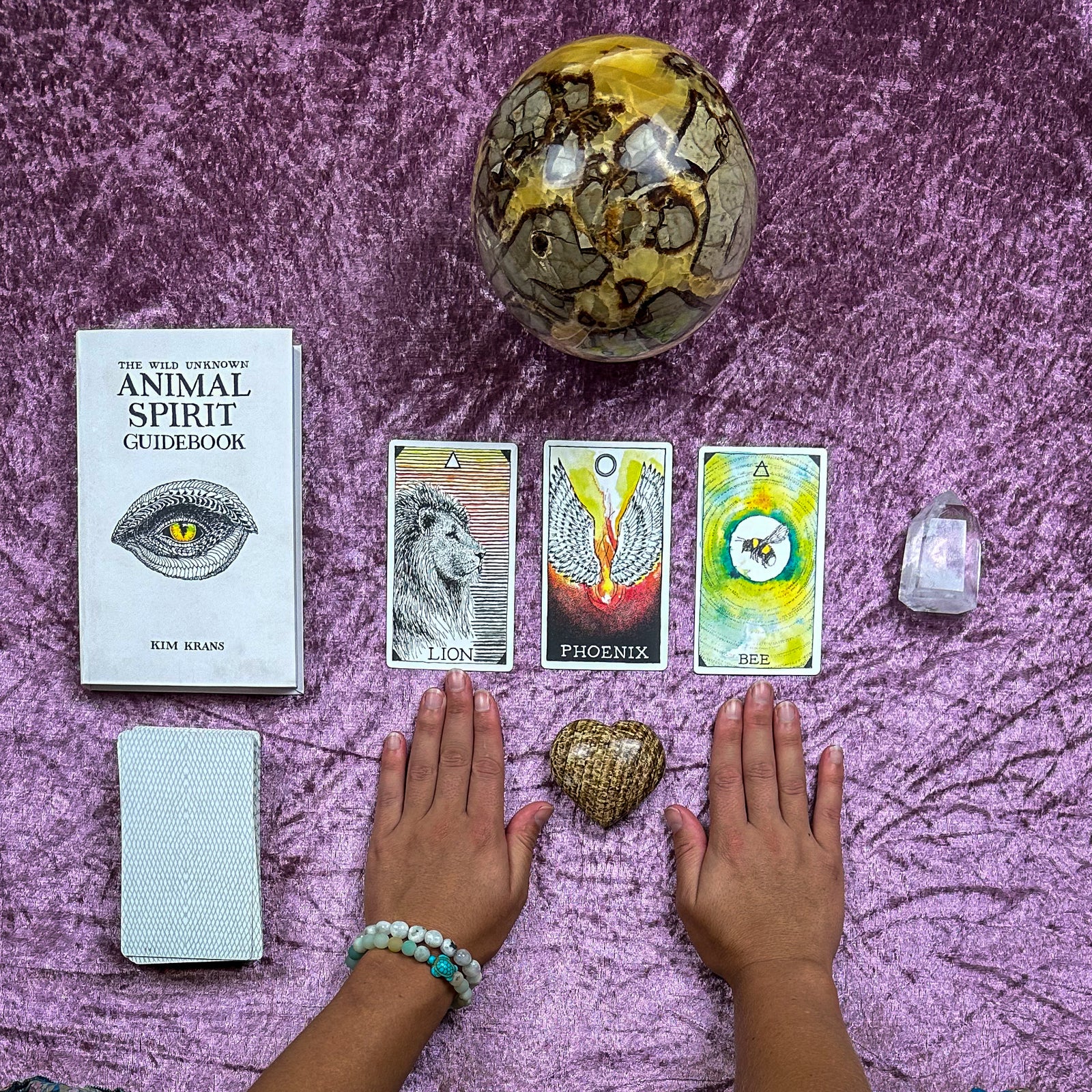 Wild Unknown Animal Spirit Oracle Readings by Jess