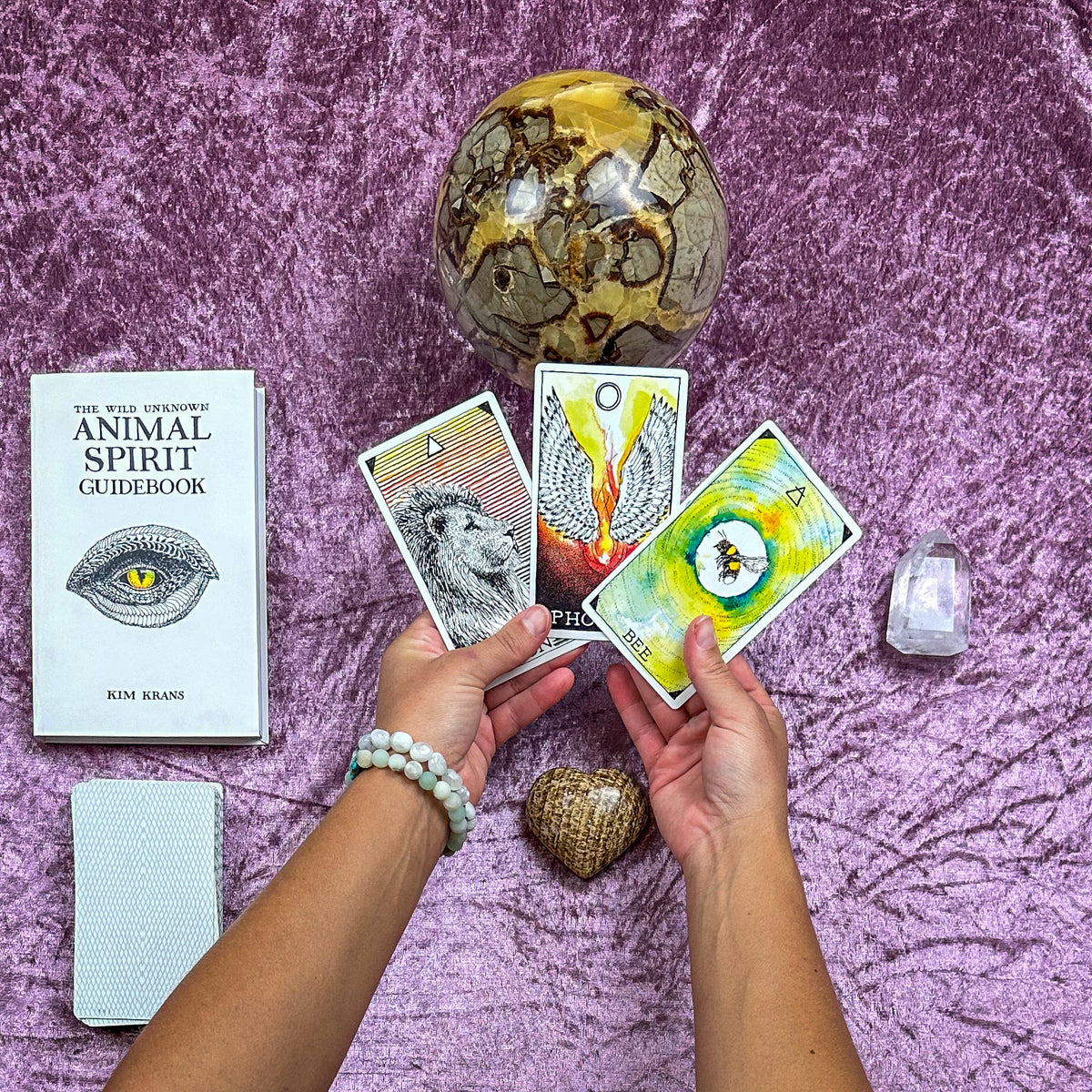 Wild Unknown Animal Spirit Oracle Readings by Jess