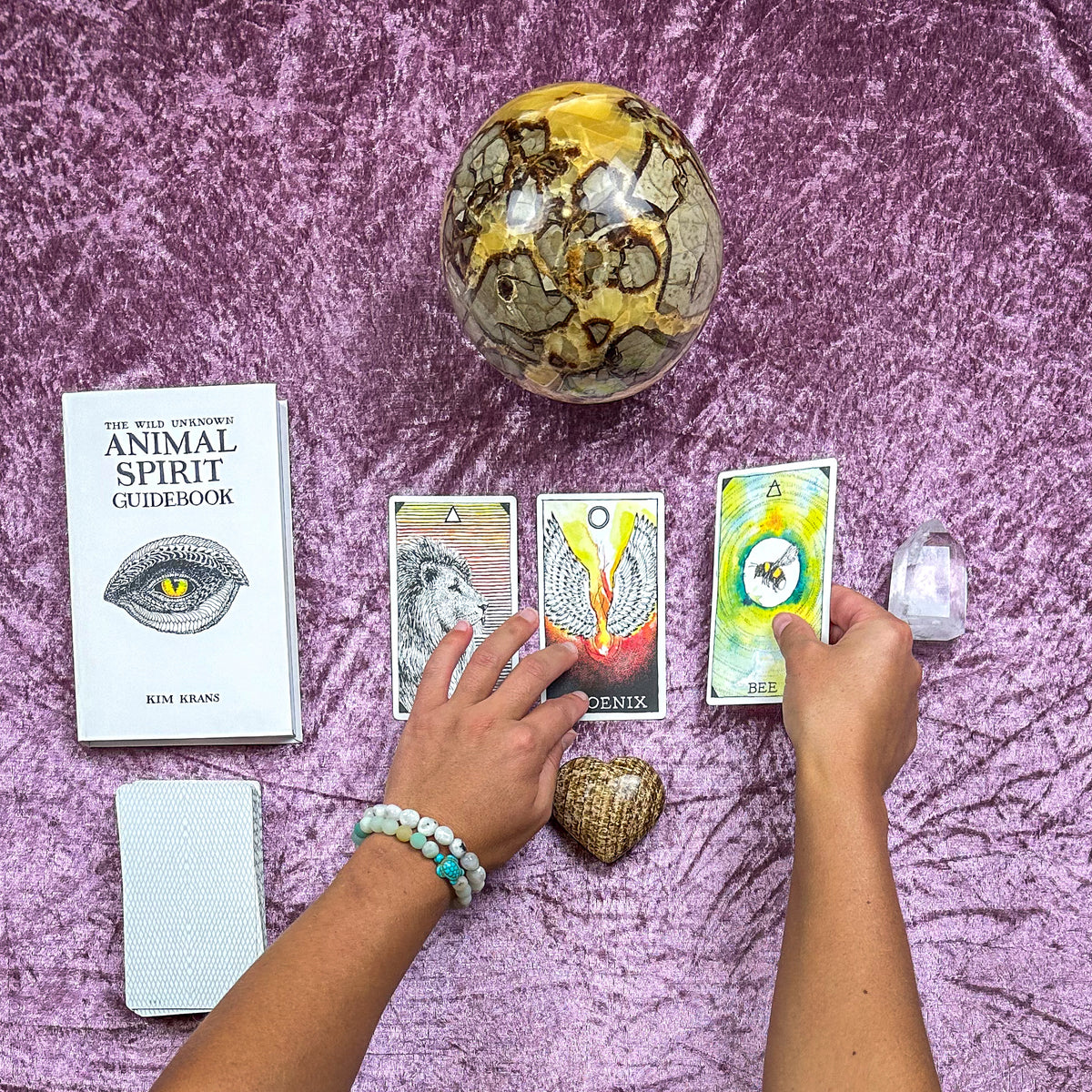 Wild Unknown Animal Spirit Oracle Readings by Jess