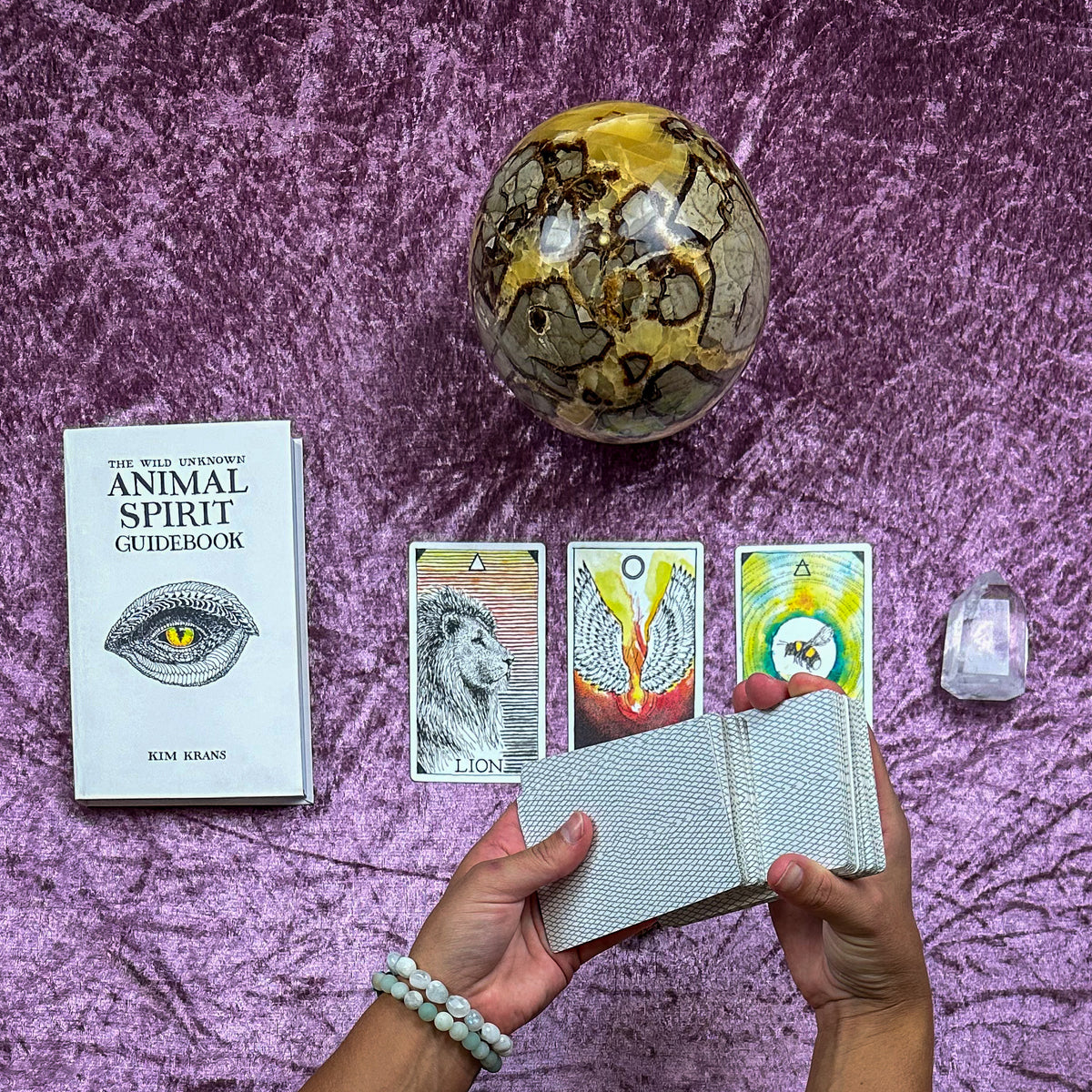 Wild Unknown Animal Spirit Oracle Readings by Jess