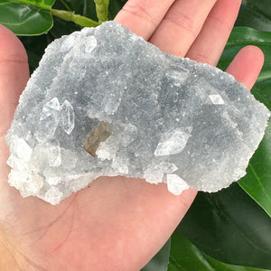 Small Apophyllite Cluster | Cleansing & Peaceful Energy