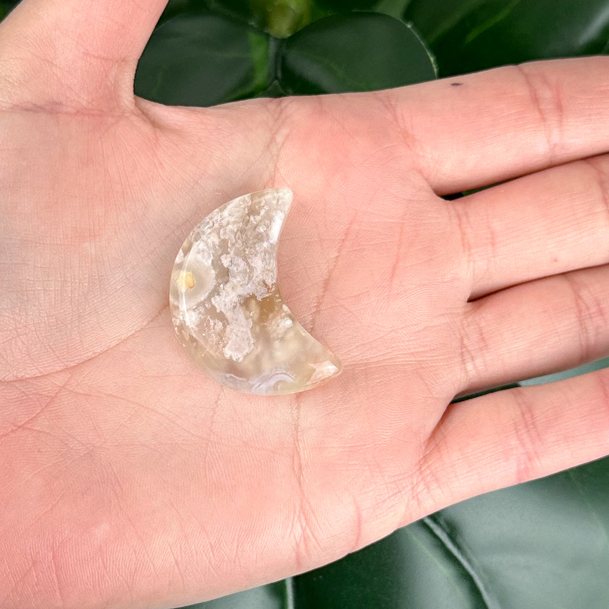 Flower Agate Moon Crystal #1 | Growth & New Beginnings Crystal