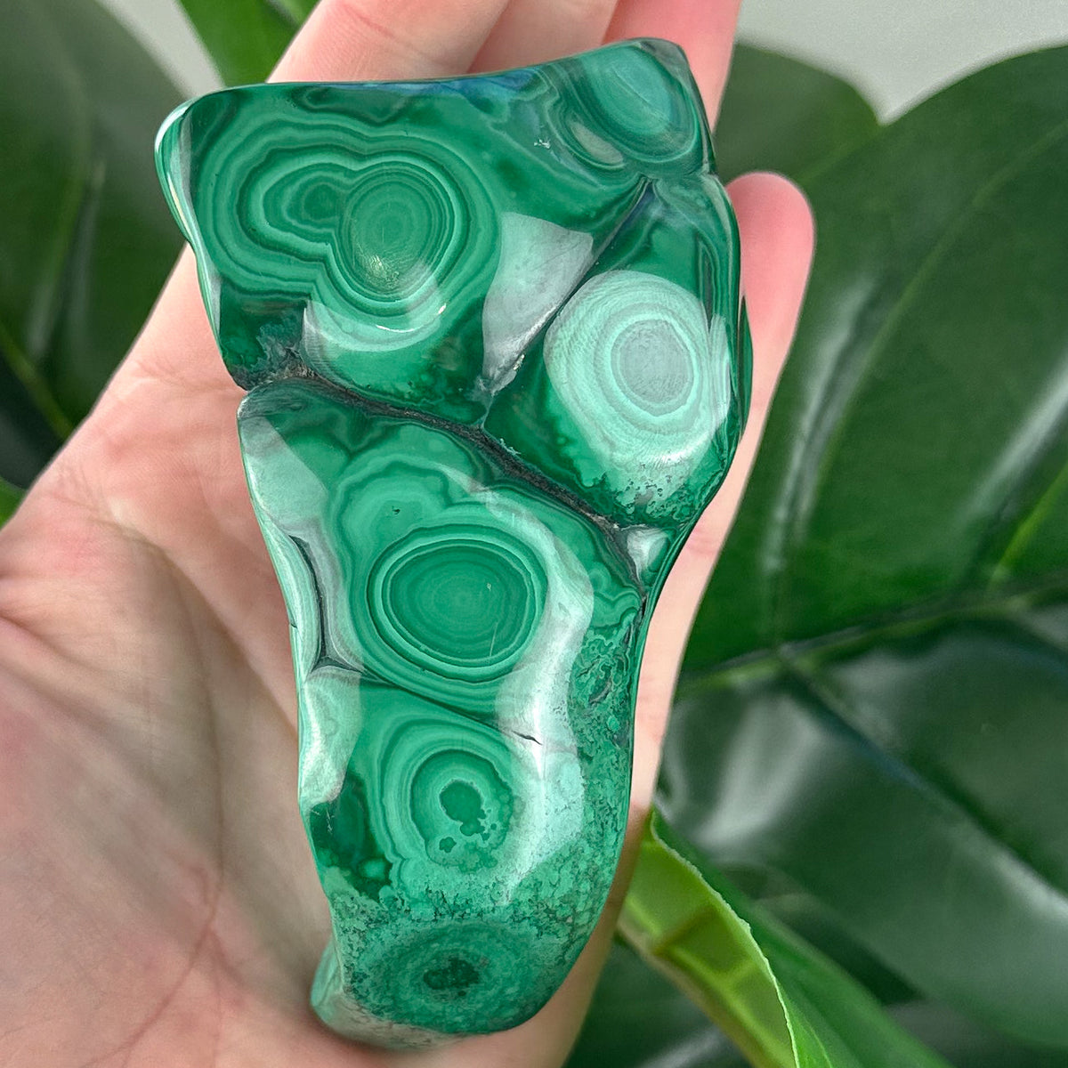 Polished Malachite Crystal | Transformation, Protection & Heart Healing
