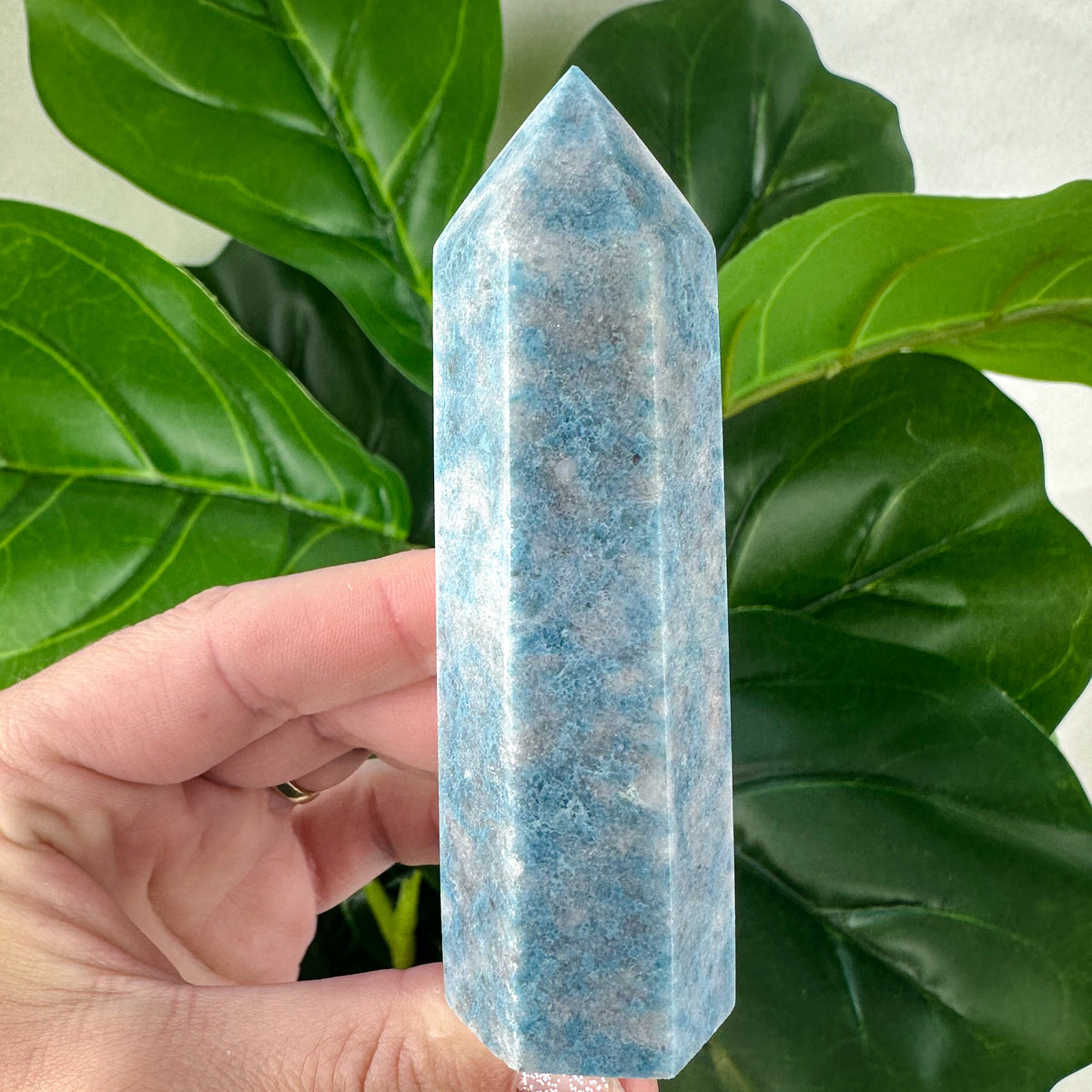 Trolleite Towers- Choose Your Own