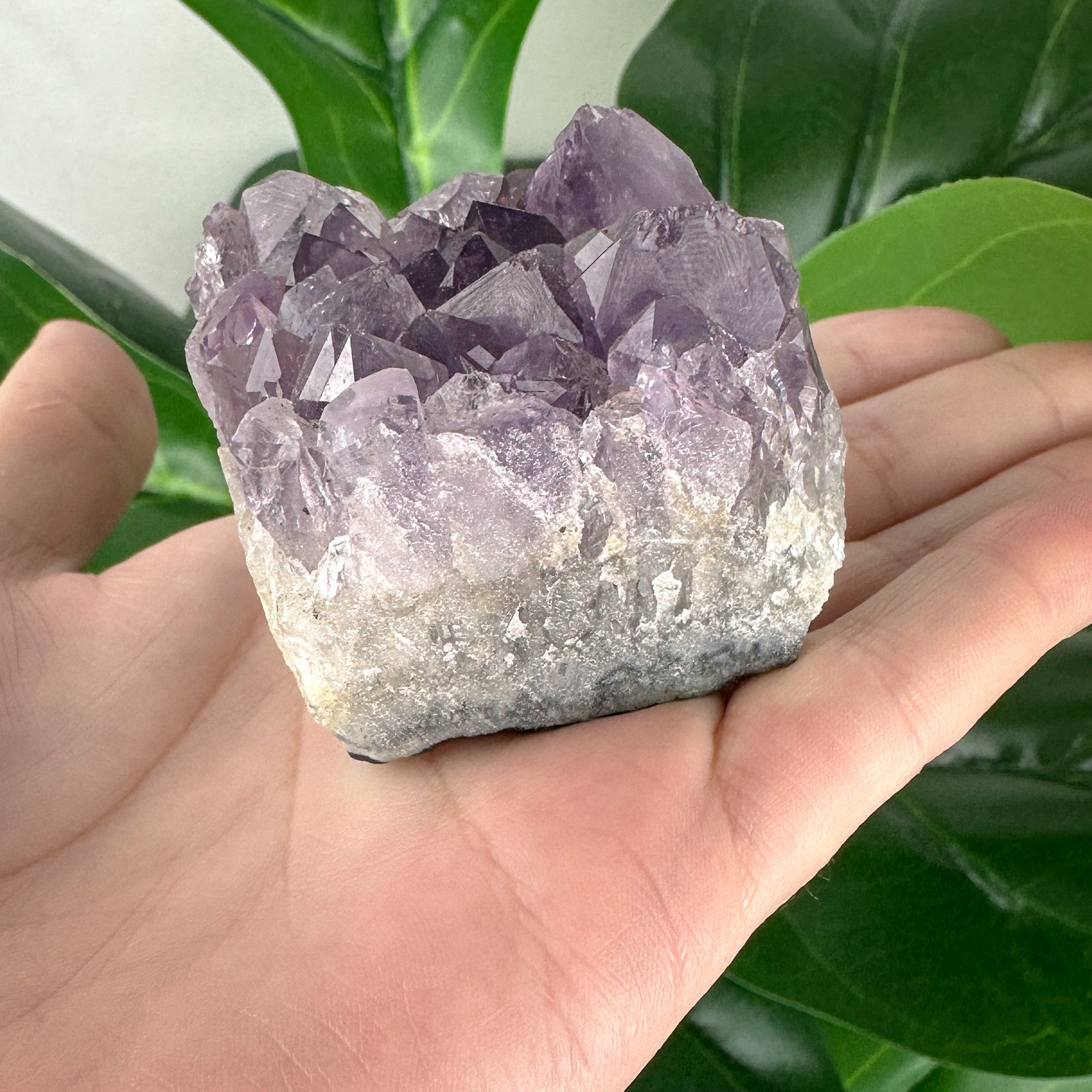 Amethyst Cluster | Statement Piece | Energy Cleansing | Spiritual Decor