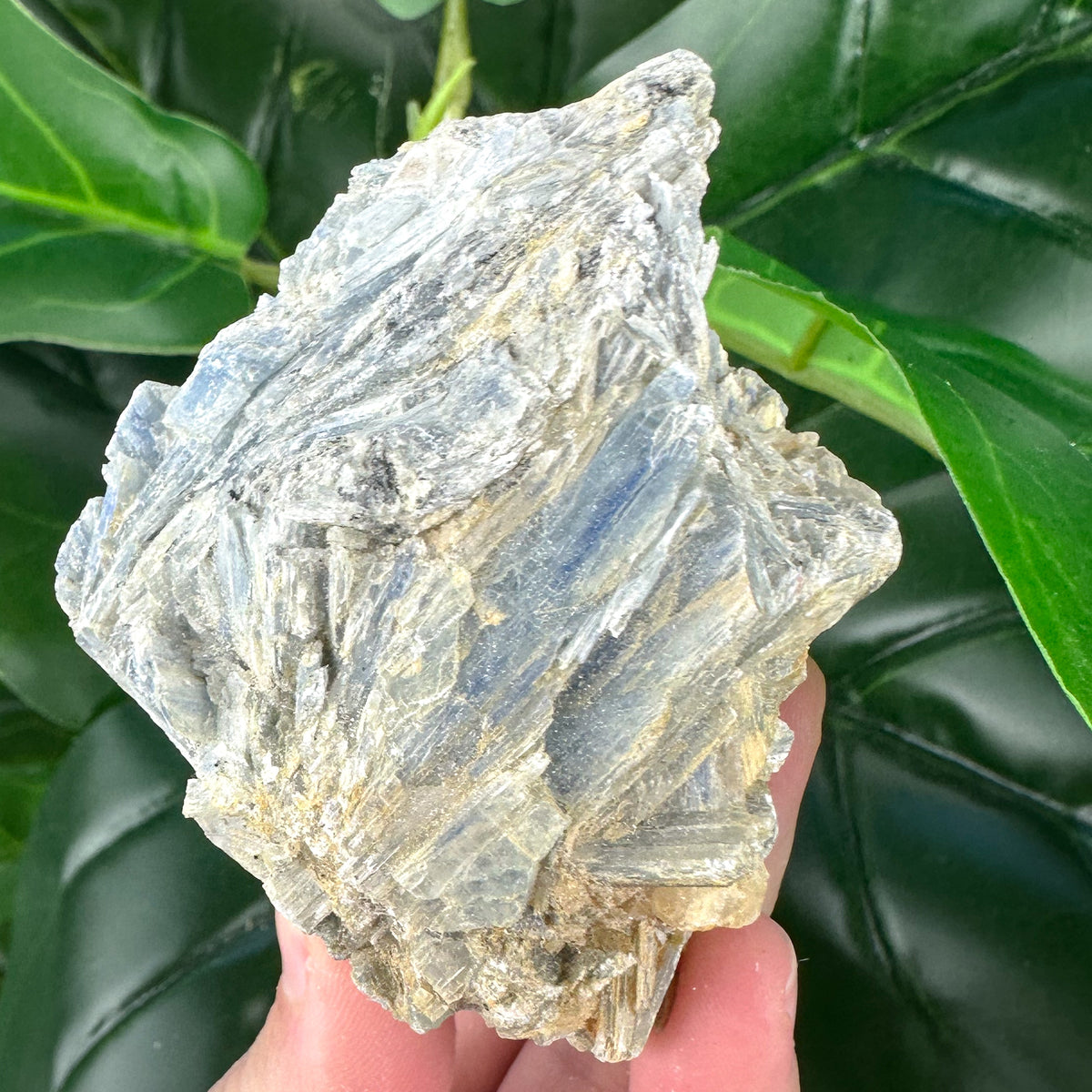 Blue Kyanite Mineral Specimen | Alignment, Calm & Intuition