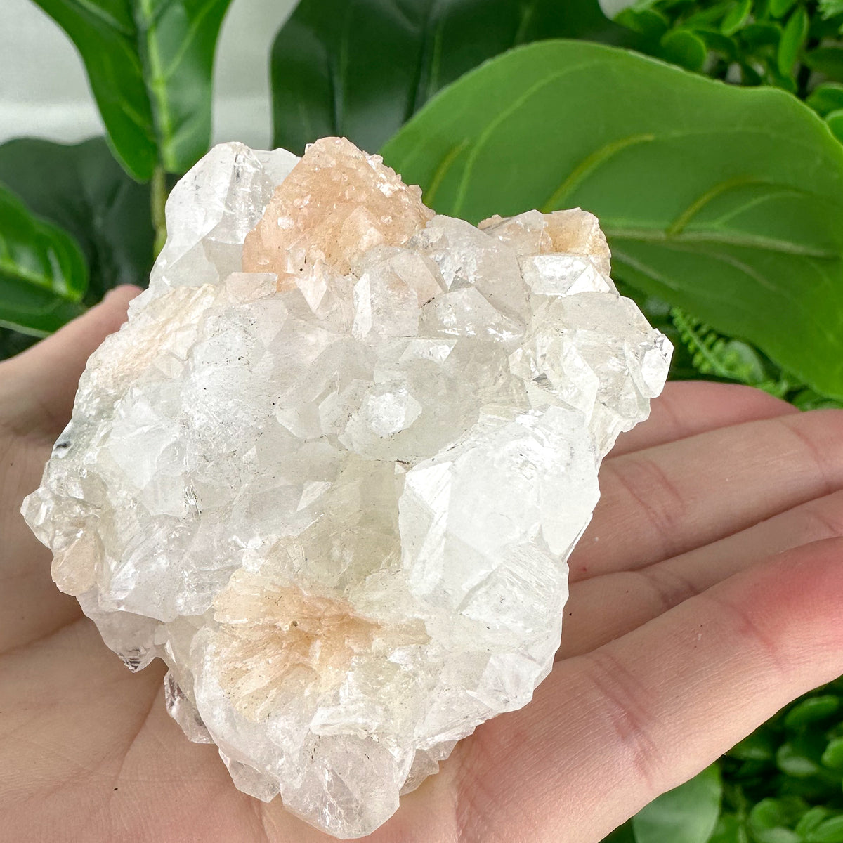 Apophyllite Cluster No.4 – Delicate Points & Soft Tones (180g)