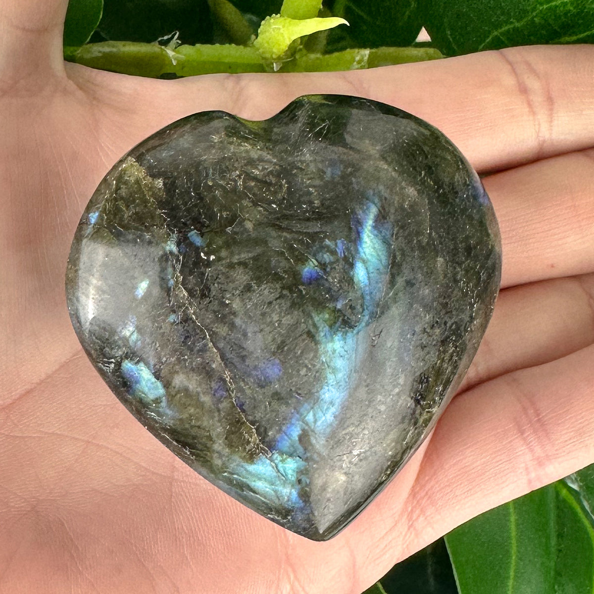 Labradorite Heart Crystal | Protection, Intuition & Transformation