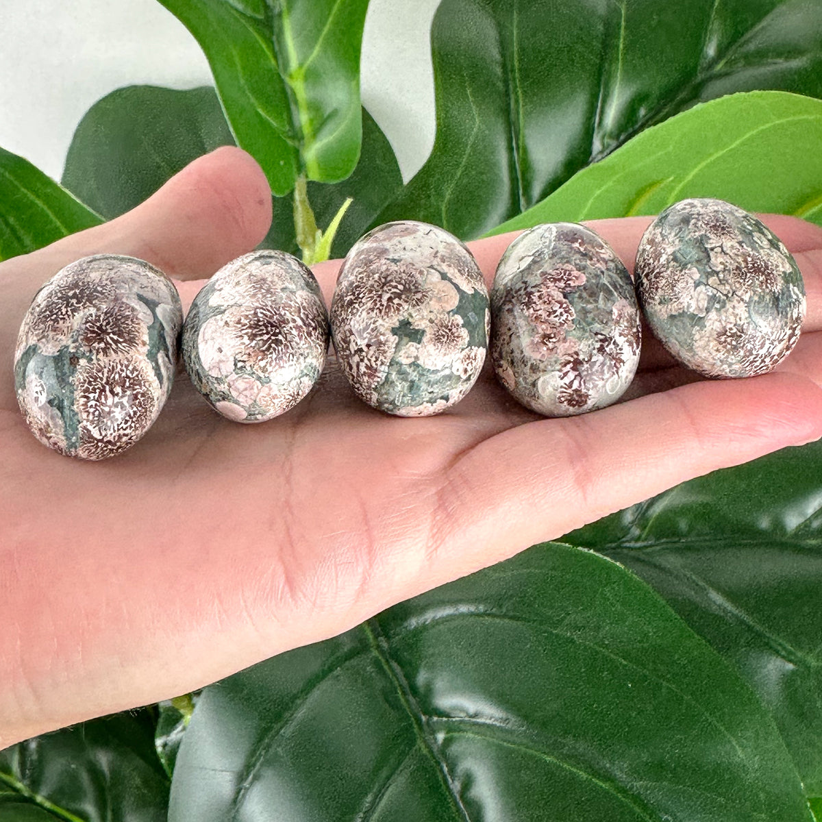 Flower Agate Tumble | Growth & New Beginnings | Self Discovery