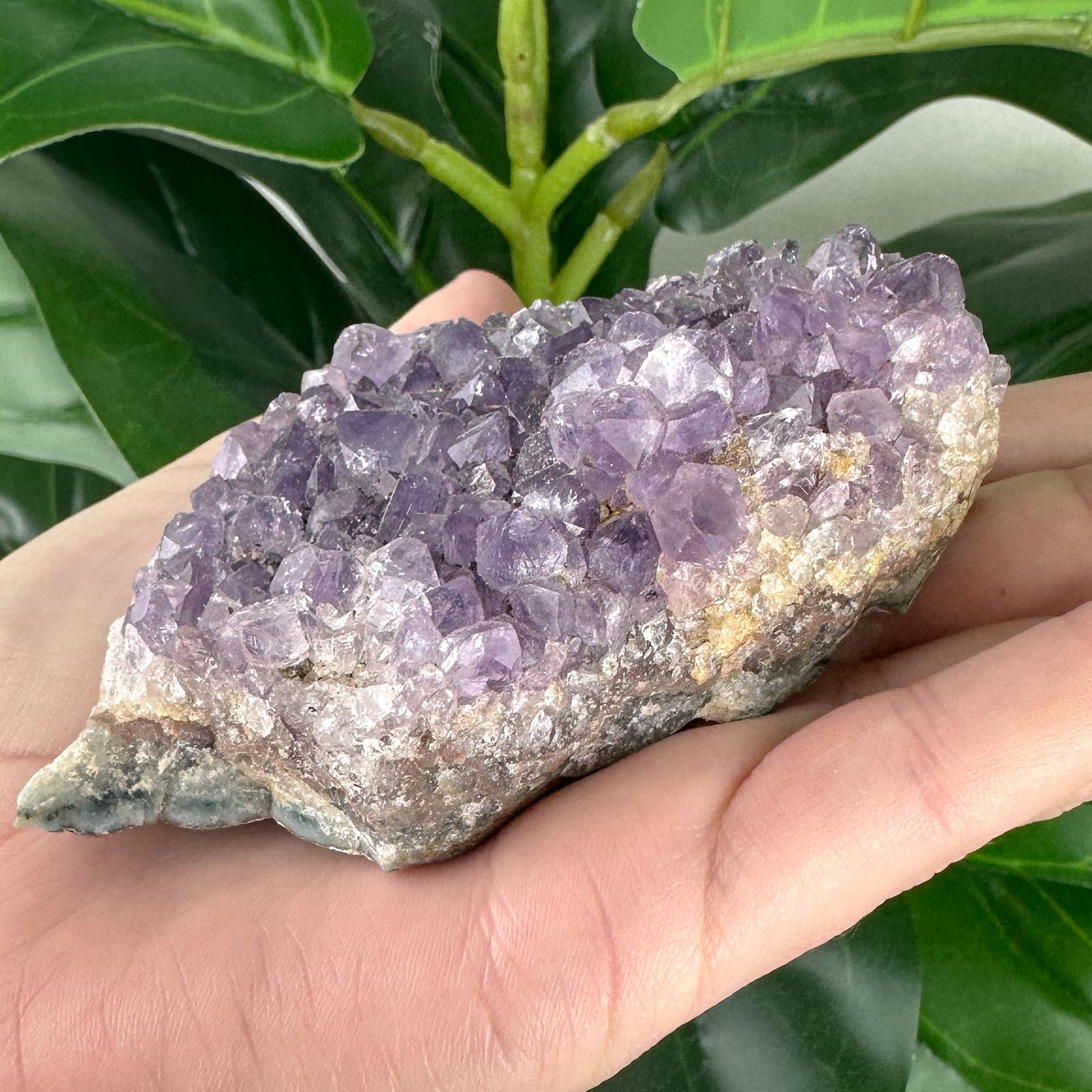 Amethyst Cluster | Raw Crystal | One of a Kind | Calm & Protection
