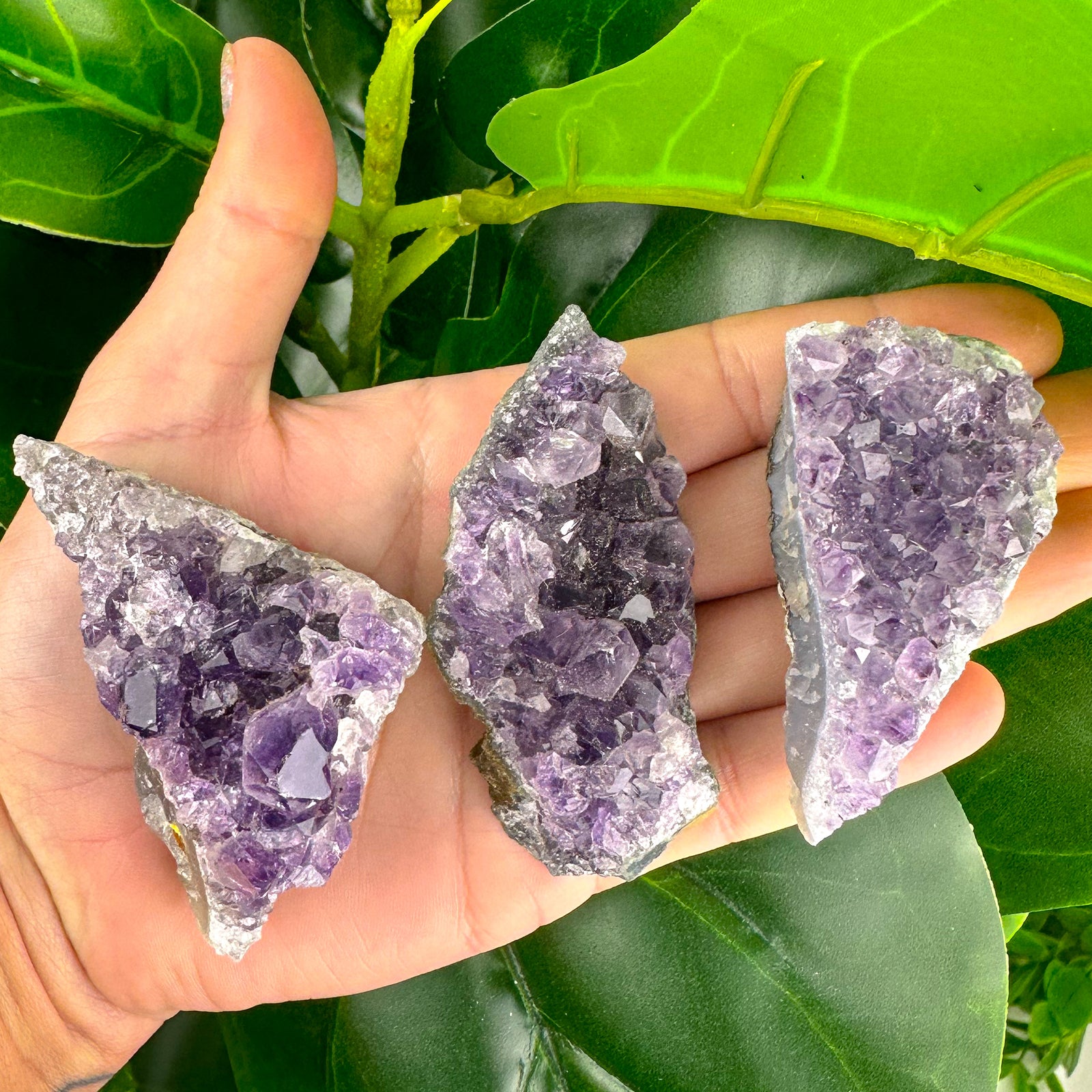 Amethyst Clusters- Choose Your Own