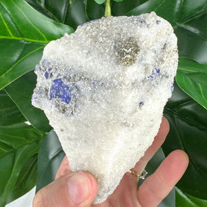 Lazurite Specimen | Intuition, Wisdom & Spiritual Awareness