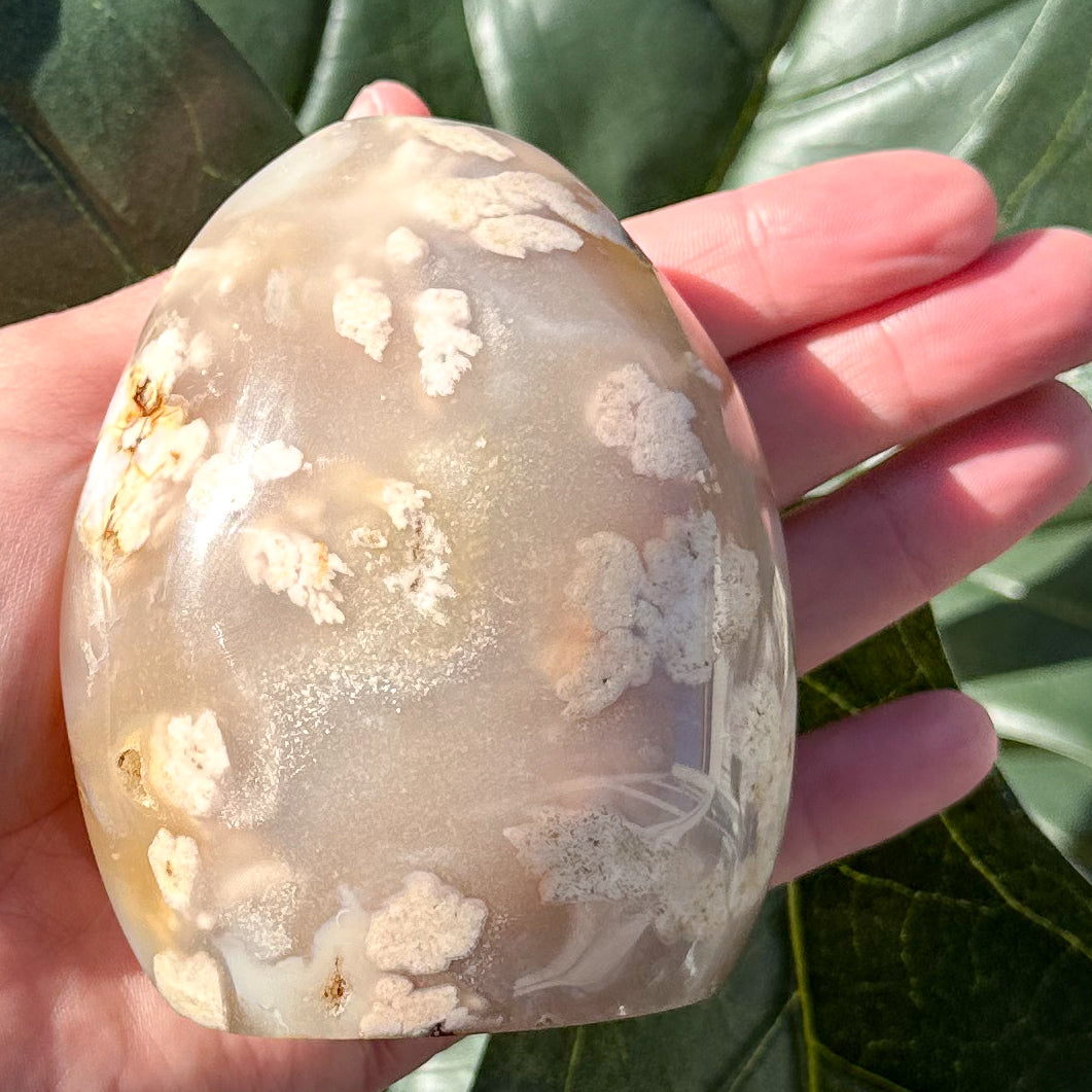 Natural Flower Agate Free Form | Self Love, Soft Energy & Healing Crystal