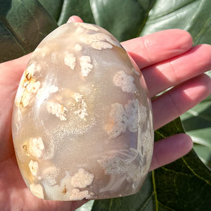 Natural Flower Agate Free Form | Self Love, Soft Energy & Healing Crystal